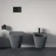Dunkelgraue Toilette und Bidet von Ideal Standard an einer hellen Wand. Hochwertige Bedienplatte und Toilettenpapierhalter sind sichtbar.